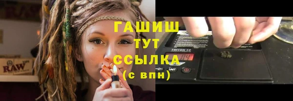 прущие грибы Кинешма
