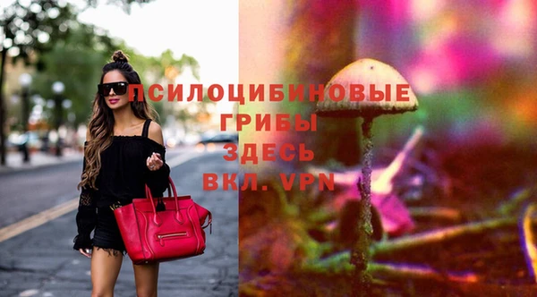 дживик Карталы