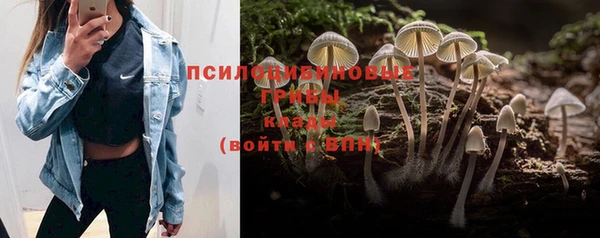 марки nbome Касимов