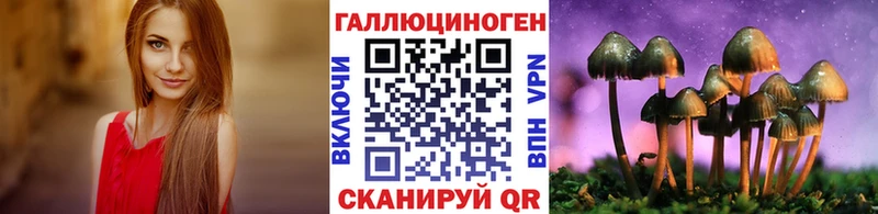 наркота  Сорск  Галлюциногенные грибы Psilocybine cubensis 